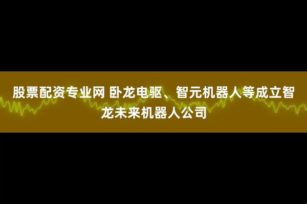 股票配资专业网 卧龙电驱、智元机器人等成立智龙未来机器人公司