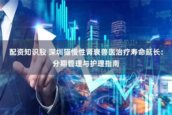 配资知识股 深圳猫慢性肾衰兽医治疗寿命延长：分期管理与护理指南