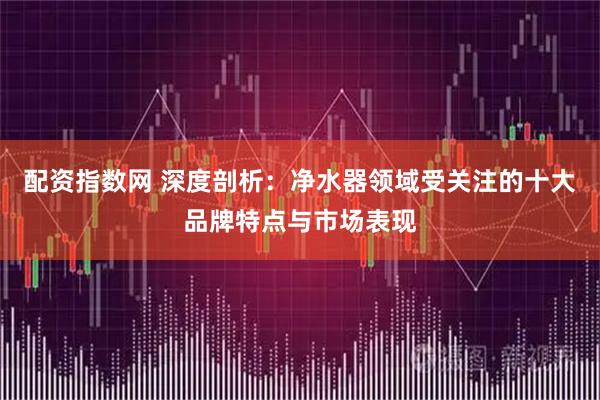 配资指数网 深度剖析：净水器领域受关注的十大品牌特点与市场表现